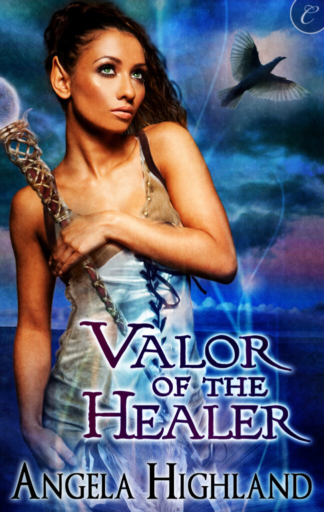 Valor of the Healer Book Cover